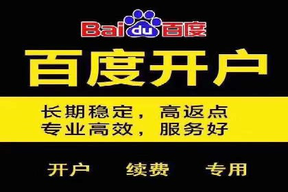 某企业通过搜索开户返点实现盈利增长